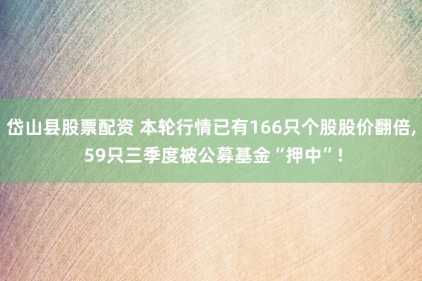 岱山县股票配资 本轮行情已有166只个股股价翻倍, 59只三季度被公募基金“押中”!