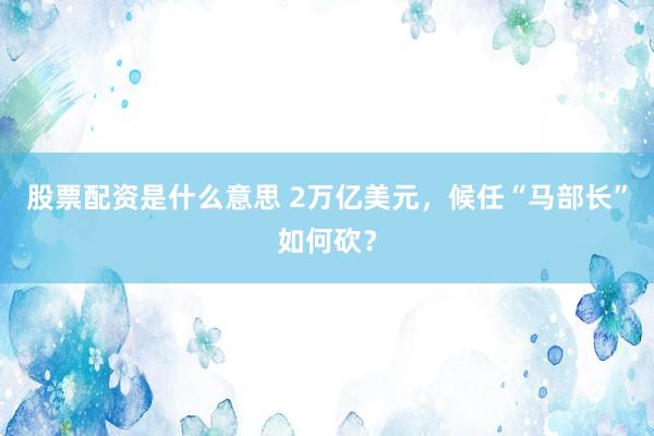 股票配资是什么意思 2万亿美元，候任“马部长”如何砍？